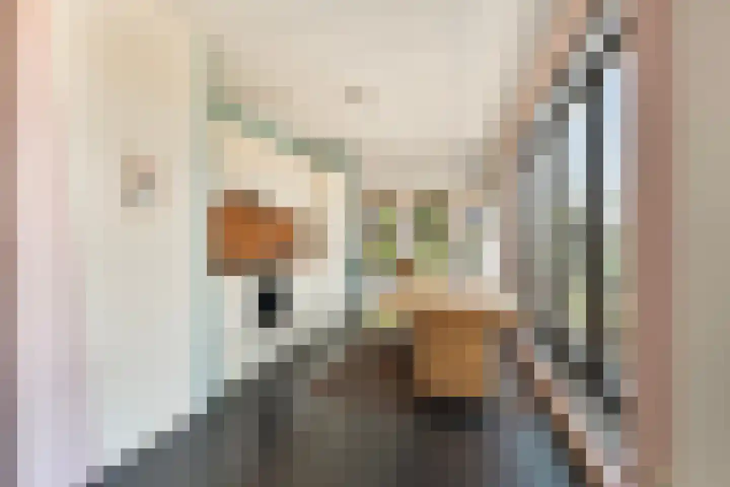 Catharina Beersmansstraat 110 Rotterdam thumbnail 4