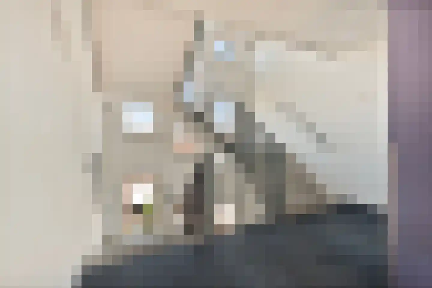 Catharina Beersmansstraat 110 Rotterdam thumbnail 7