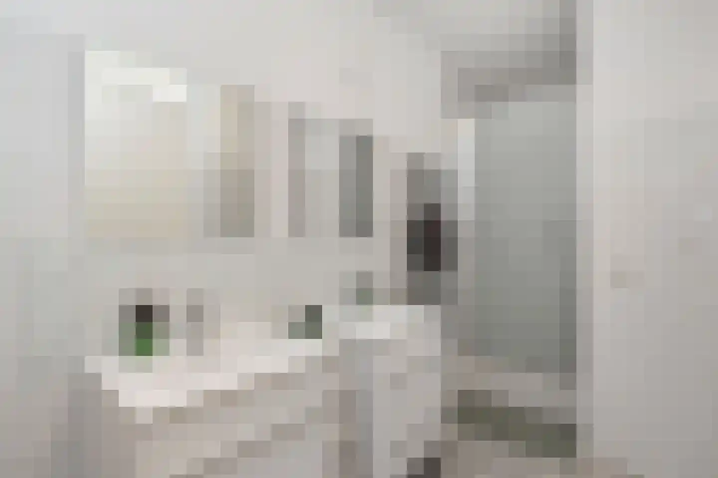 Catharina Beersmansstraat 91 Rotterdam thumbnail 11