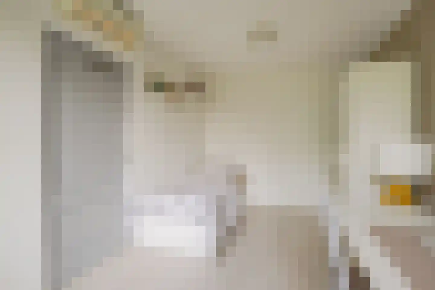 Catharina Boudewijnshof 61 Amsterdam thumbnail 18