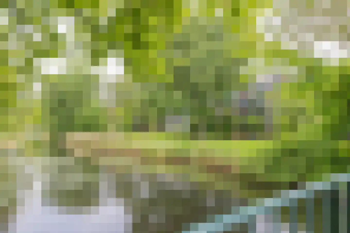 Catharina Boudewijnshof 61 Amsterdam thumbnail 37