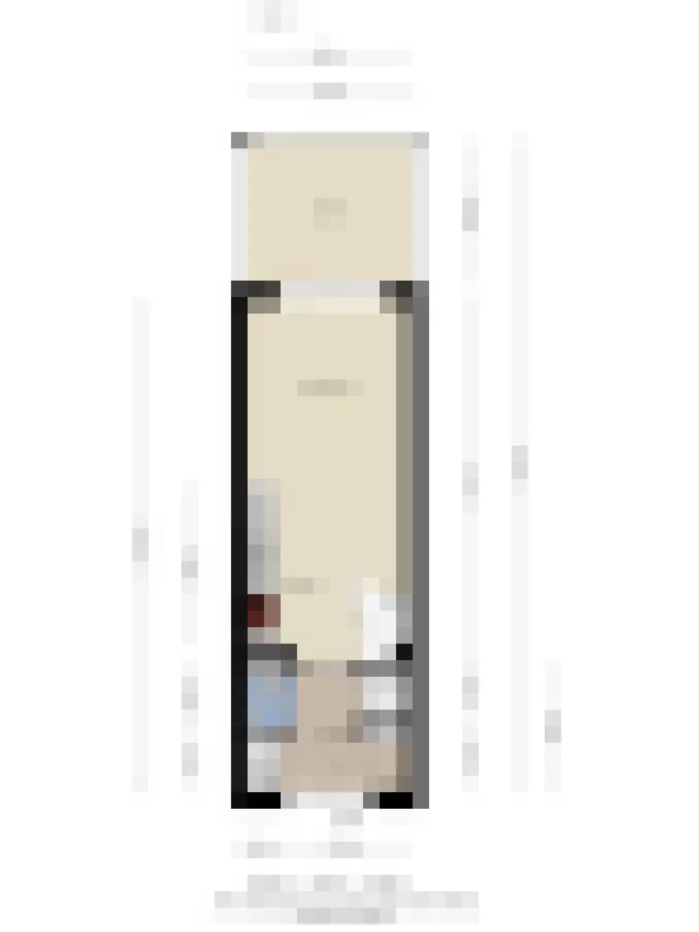 Catharina Burierlaan 3 Gouda thumbnail 37