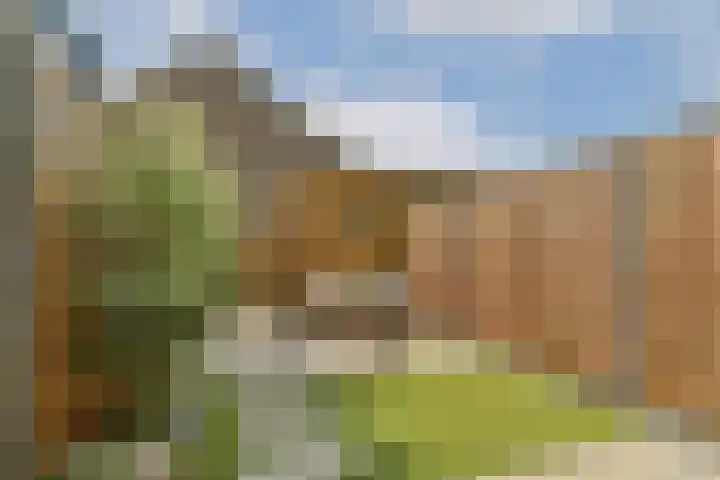 Catharina Burierlaan 5 Gouda thumbnail 4