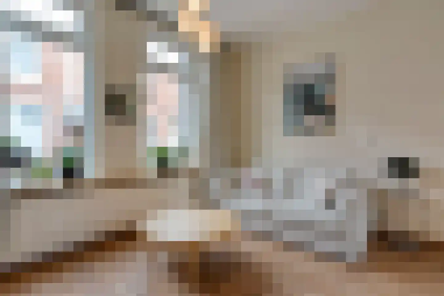 Catharina Gillesstraat 24 Kampen thumbnail 5