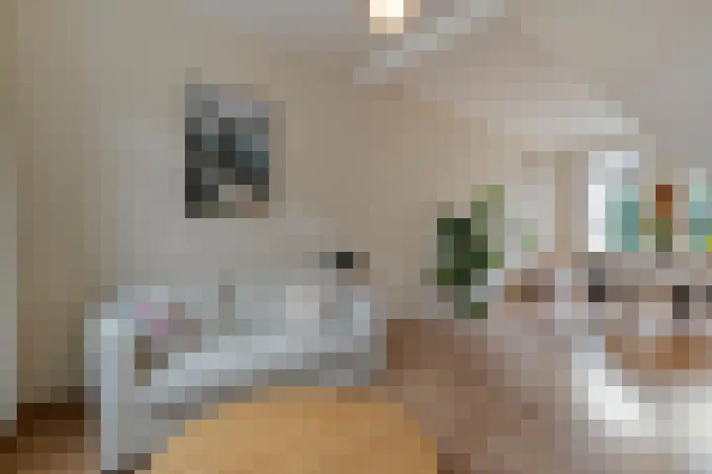 Catharina Gillesstraat 24 Kampen thumbnail 7