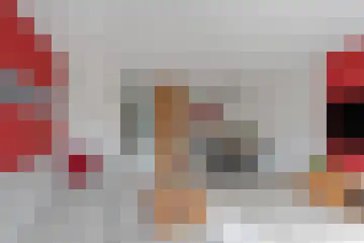 Catharina Roodzantpad 8 Rotterdam thumbnail 13