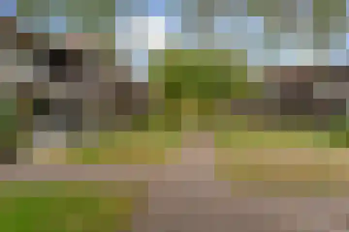 Catharina Roodzantpad 8 Rotterdam thumbnail 30