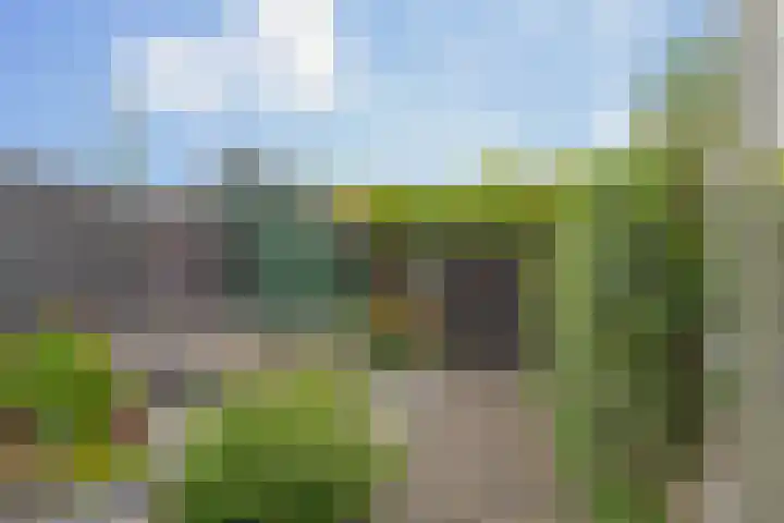 Catharina Roodzantpad 8 Rotterdam thumbnail 6