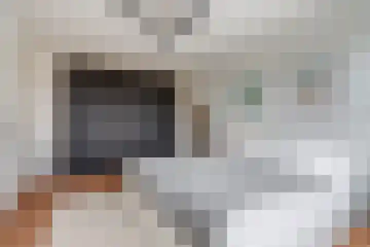 Catharina van Aragonlaan 104 Hoofddorp thumbnail 17