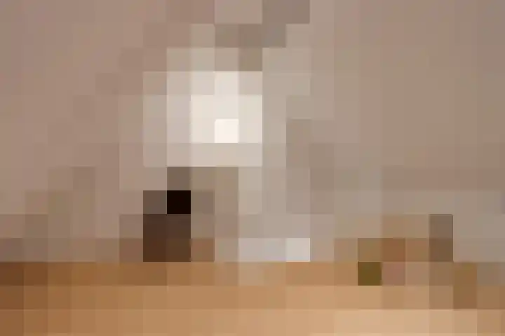 Catharina van Aragonlaan 104 Hoofddorp thumbnail 32