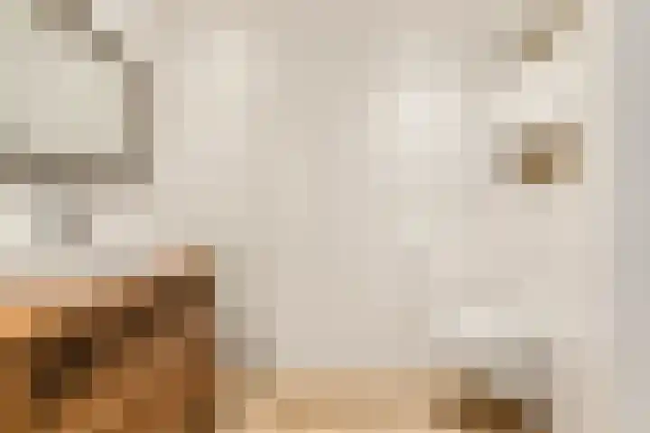 Catharina van Aragonlaan 111 Hoofddorp thumbnail 33