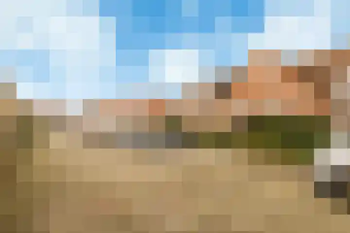 Catharina van Aragonlaan 111 Hoofddorp thumbnail 6