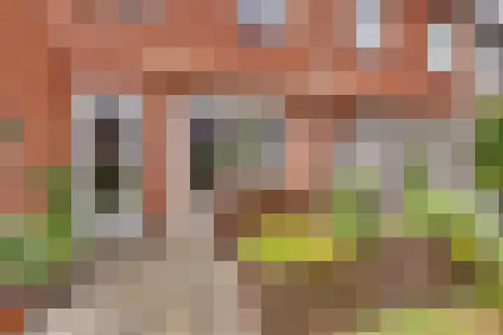 Catharina van Beekstraat 14 Kampen thumbnail 32