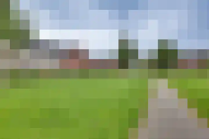 Catharina van Beekstraat 14 Kampen thumbnail 9