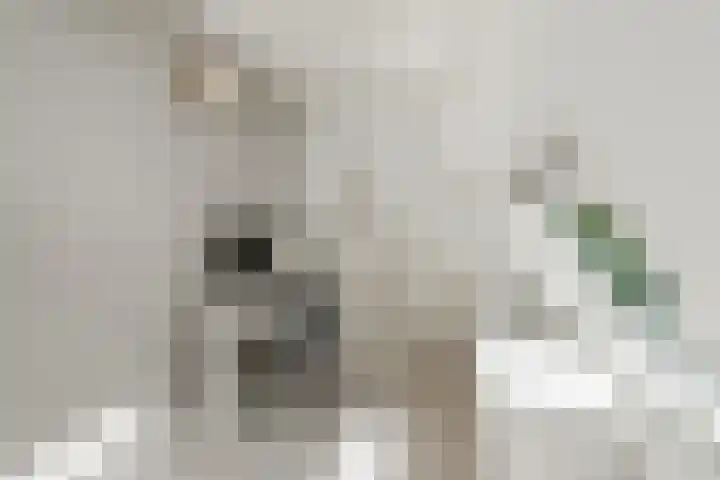 Catharina van Clevelaan 18 Amstelveen thumbnail 33