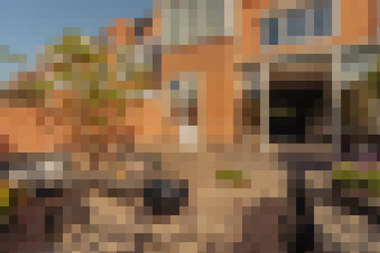 Catharina van Clevelaan 25 Amstelveen thumbnail 14