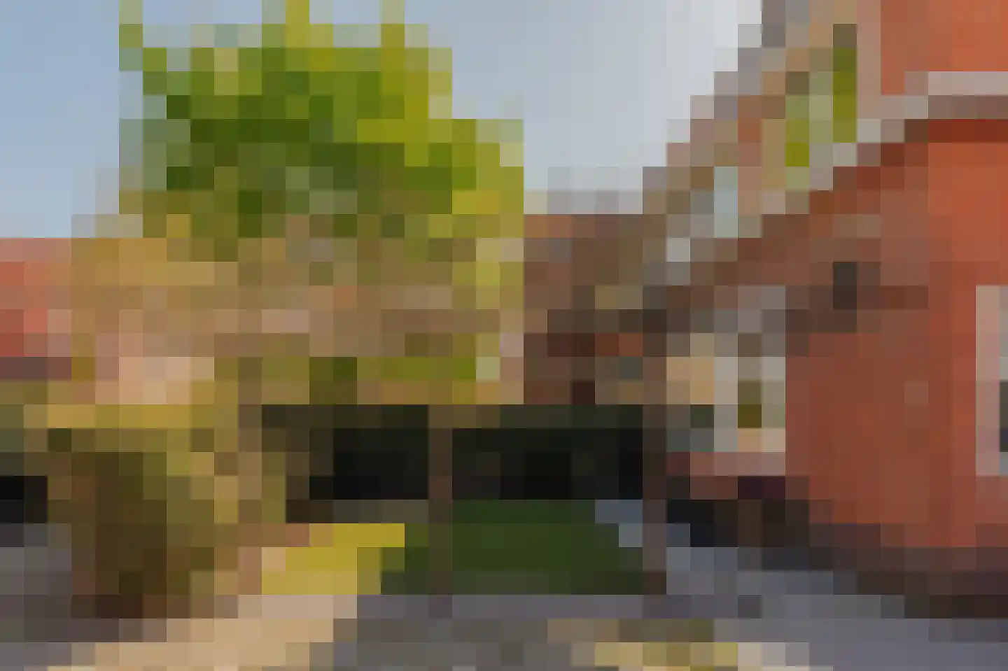 Catharina van Clevelaan 25 Amstelveen thumbnail 15