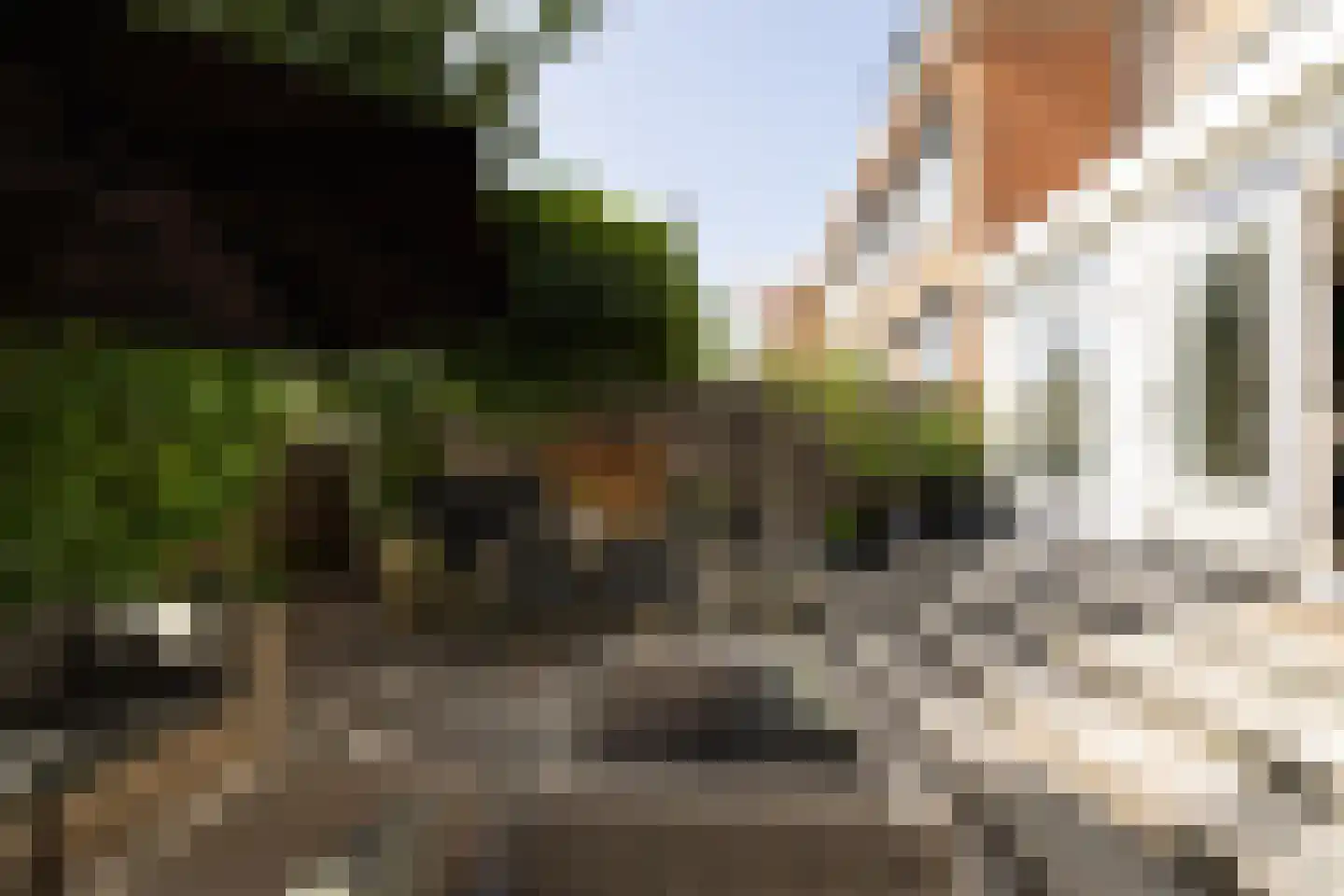 Catharina van Clevelaan 29 Amstelveen thumbnail 5