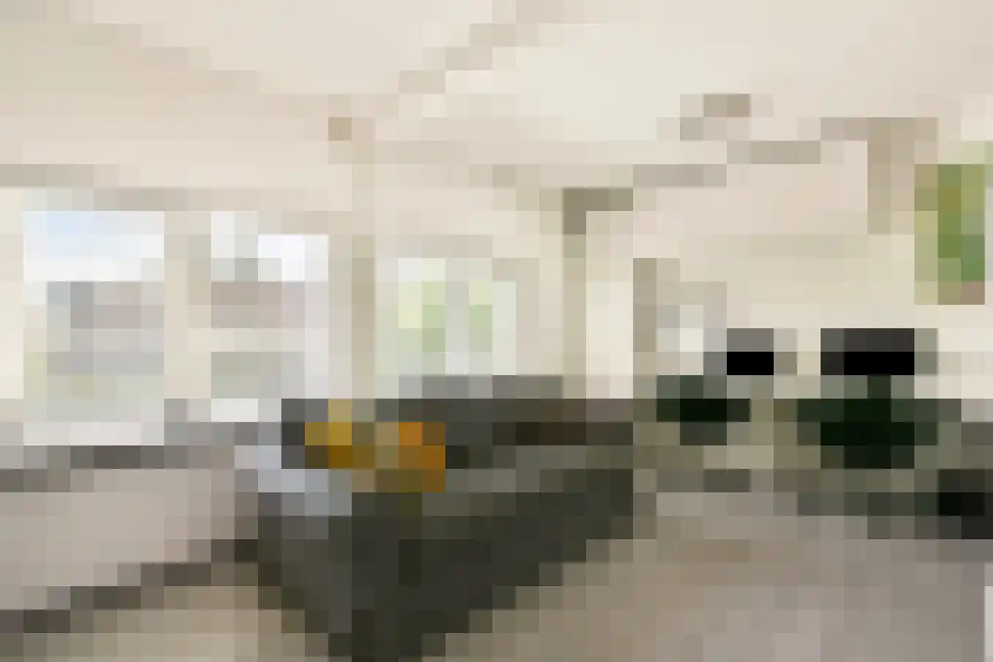 Catharina van Clevepark 3 Amstelveen thumbnail 18