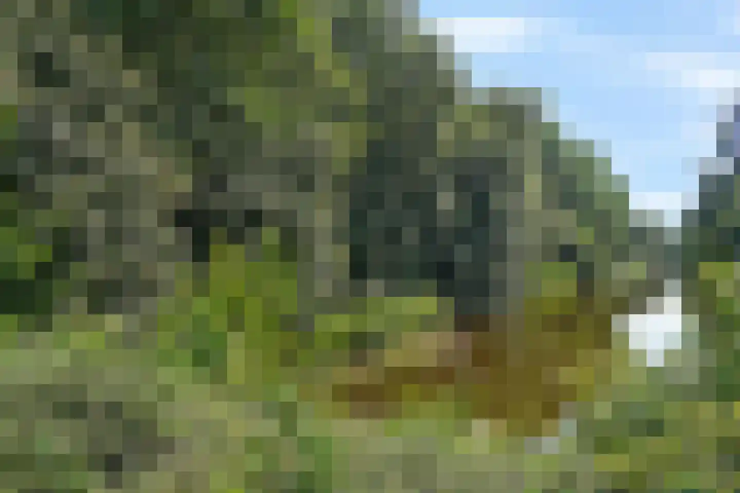 Catharina van Clevepark 3 Amstelveen thumbnail 32
