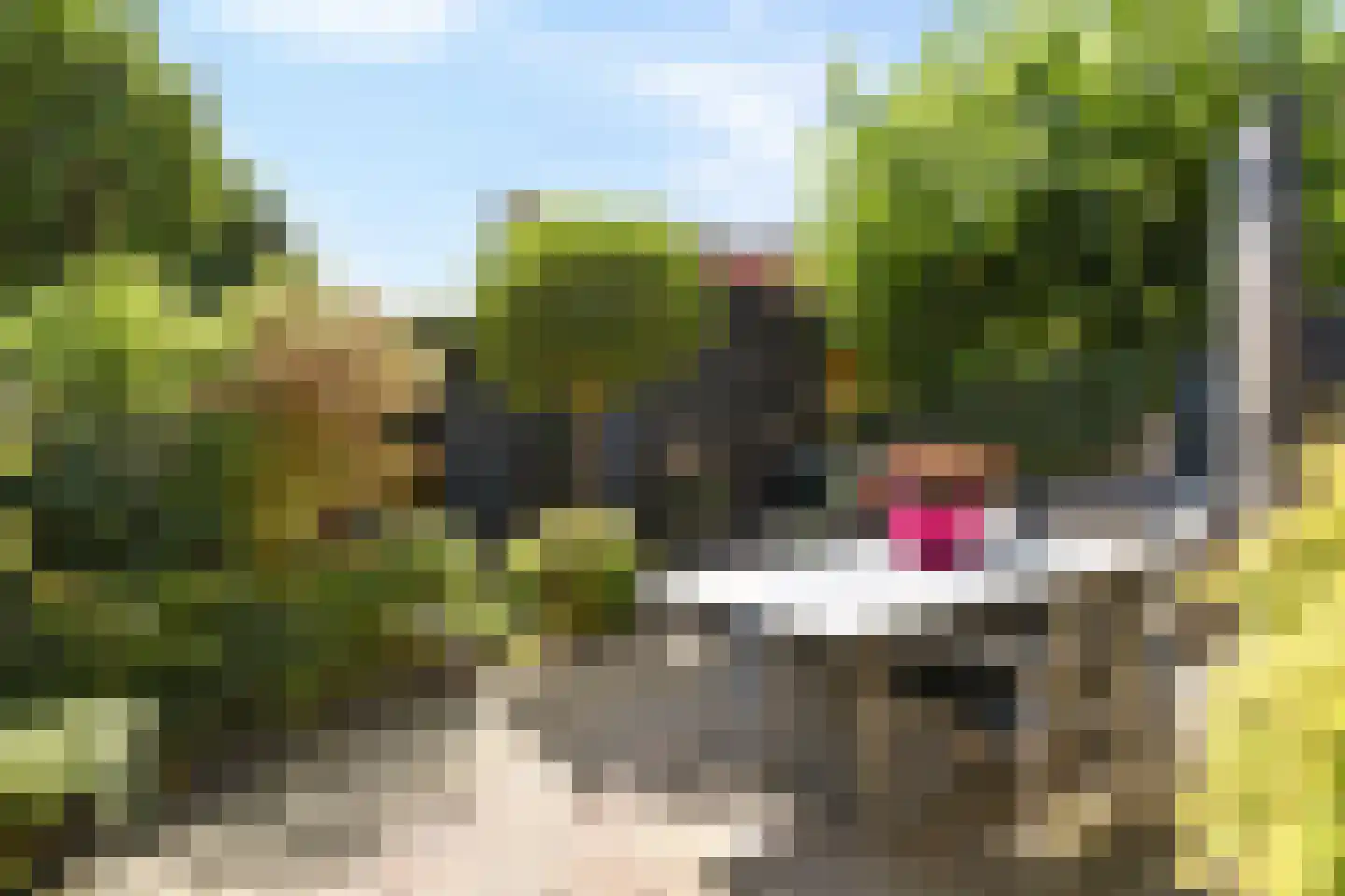 Catharina van Clevepark 3 Amstelveen thumbnail 6