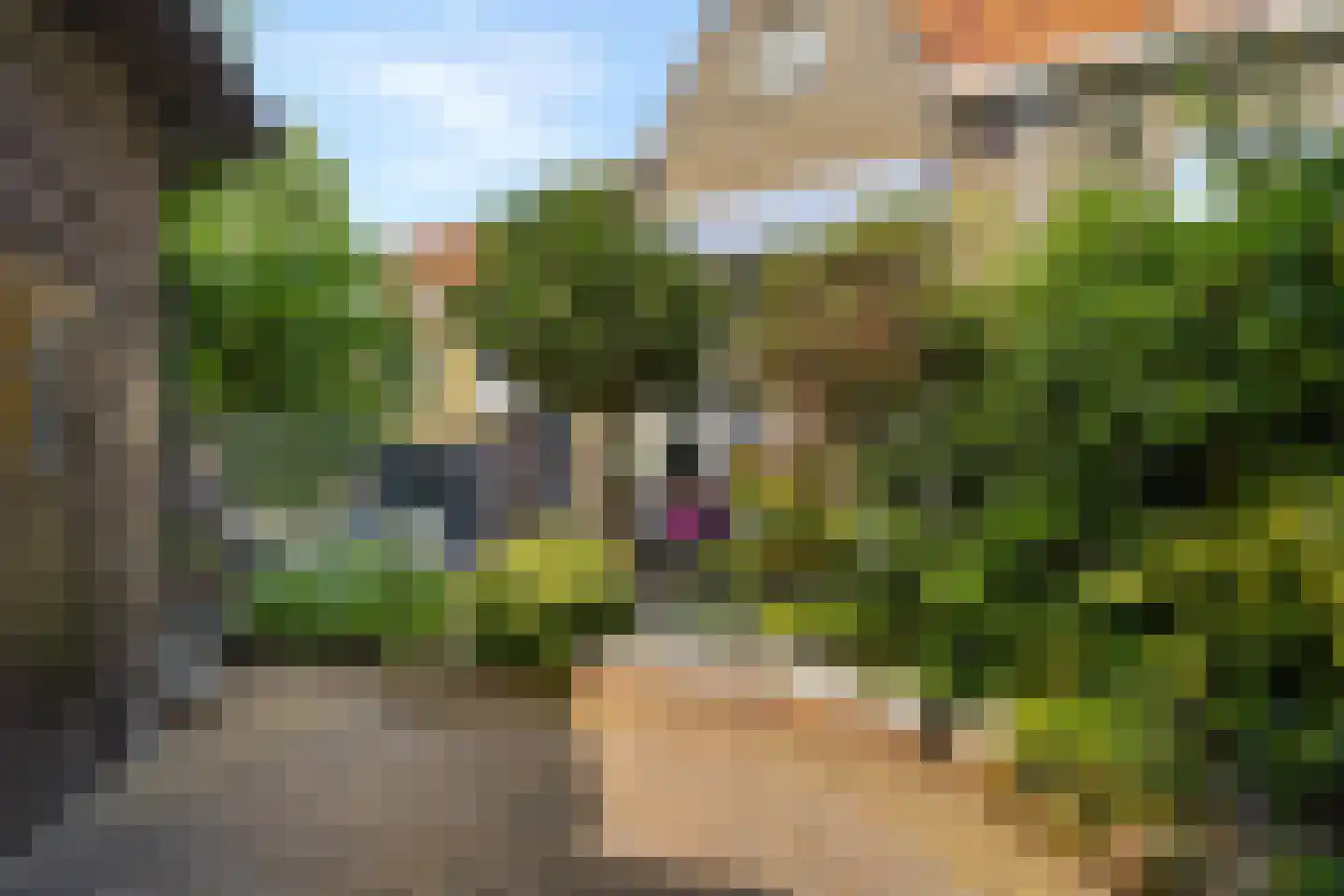 Catharina van Clevepark 3 Amstelveen thumbnail 7