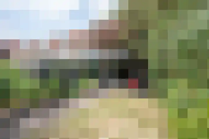 Catharina van Clevepark 43 Amstelveen thumbnail 34