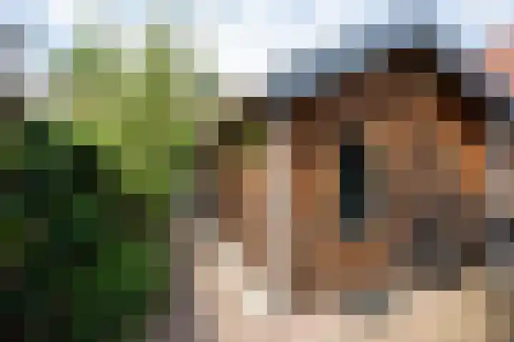 Catharina van Clevepark 43 Amstelveen thumbnail 35