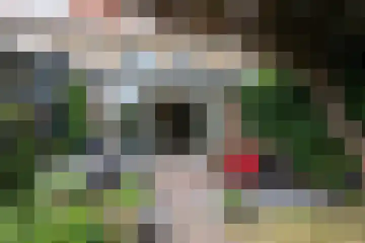 Catharina van Clevepark 43 Amstelveen thumbnail 37