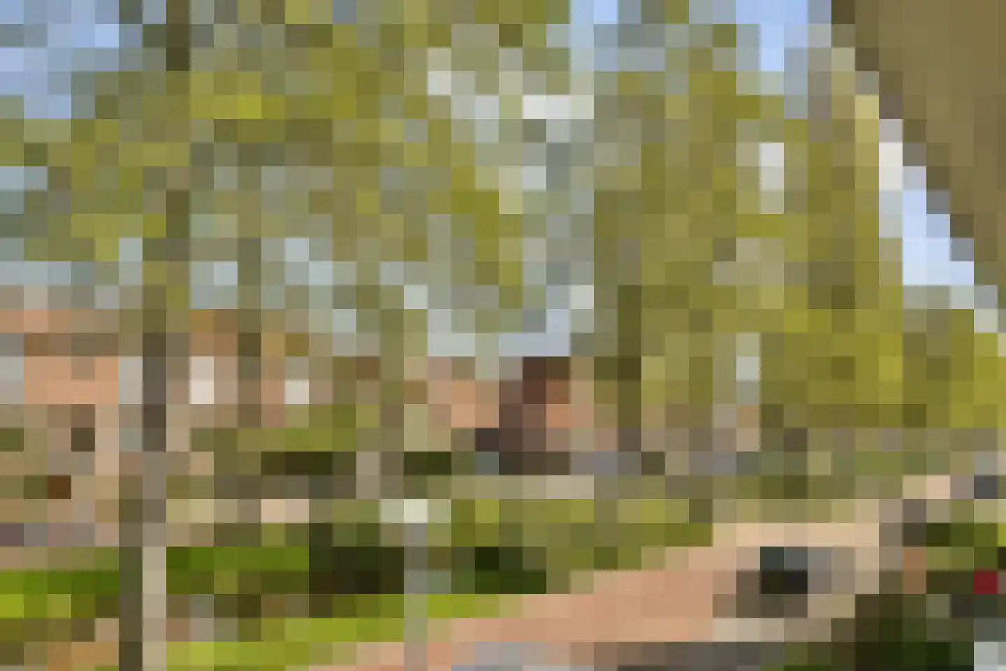 Catharina van Clevepark 57 Amstelveen thumbnail 30