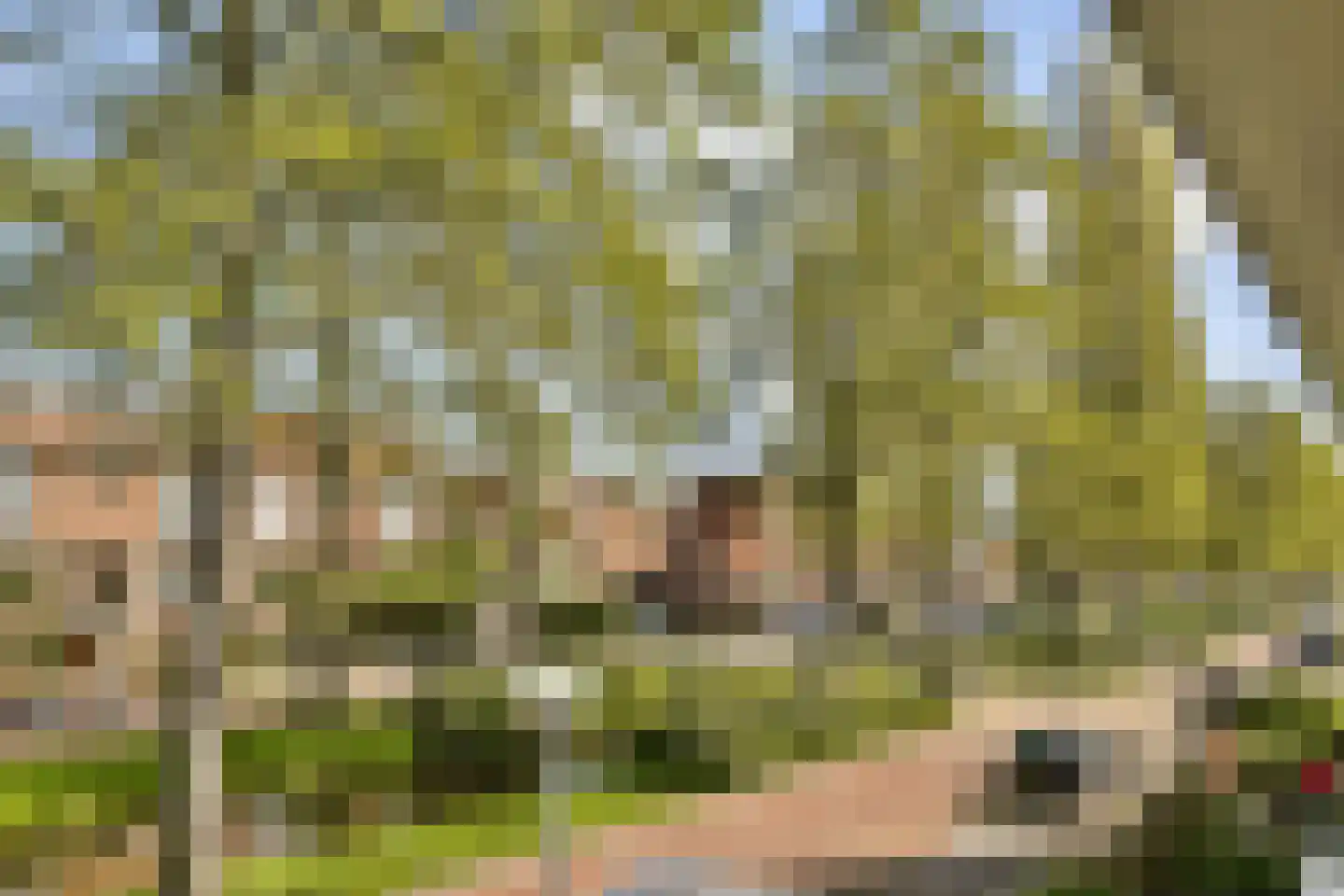 Catharina van Clevepark 57 Amstelveen thumbnail 30