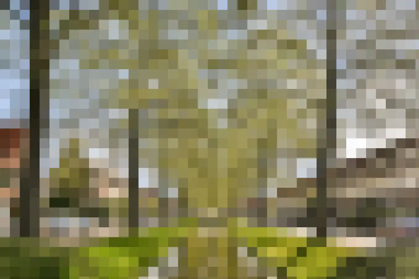 Catharina van Clevepark 57 Amstelveen thumbnail 33