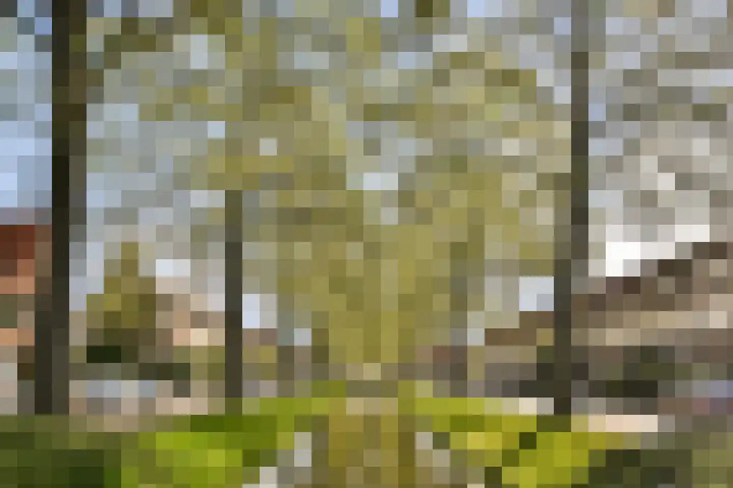 Catharina van Clevepark 57 Amstelveen thumbnail 33