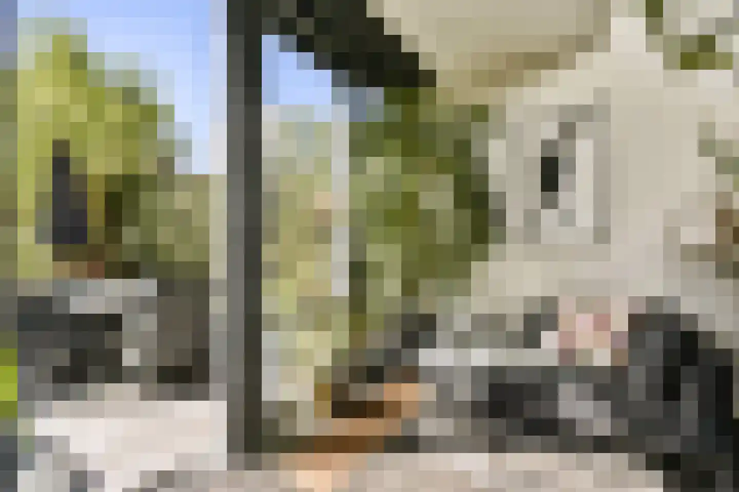 Catharina van Clevepark 57 Amstelveen thumbnail 8