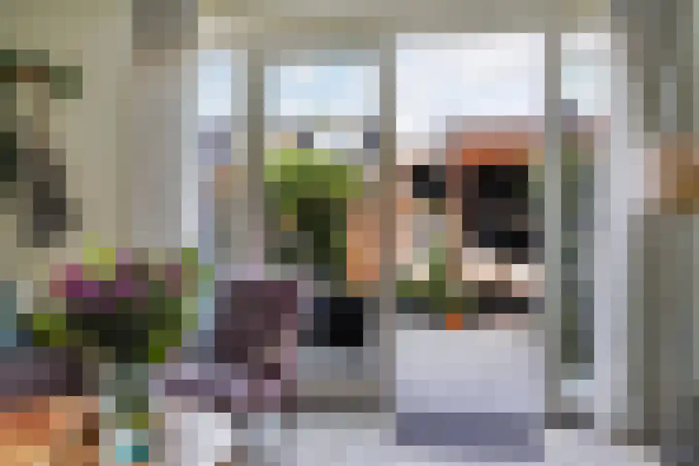 Catharina van Gentpad 29 Zoetermeer thumbnail 18