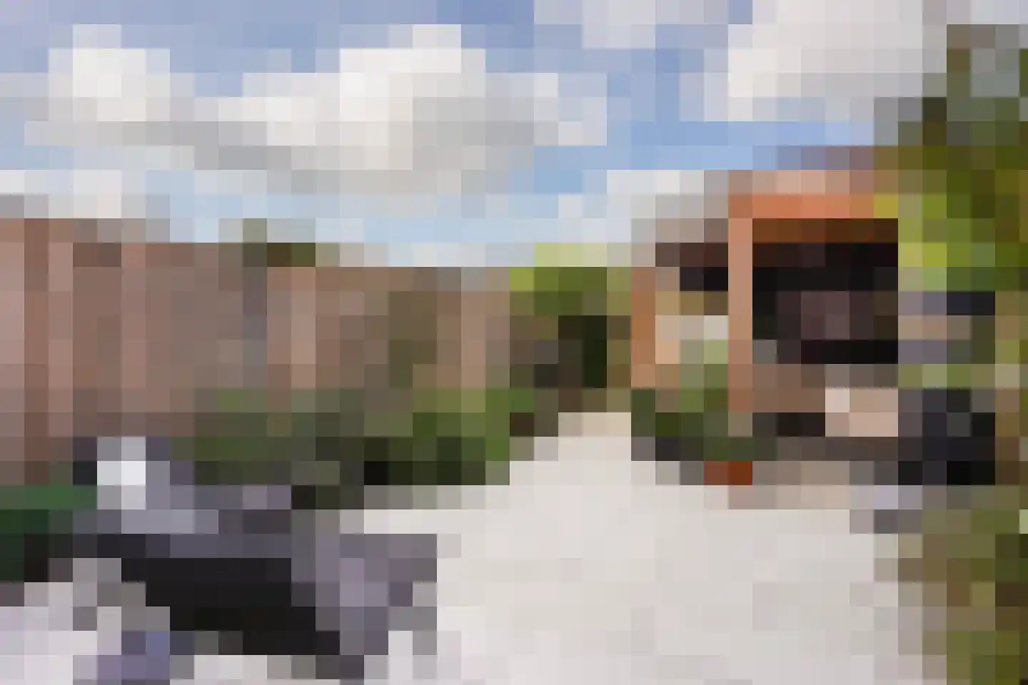 Catharina van Gentpad 29 Zoetermeer thumbnail 27