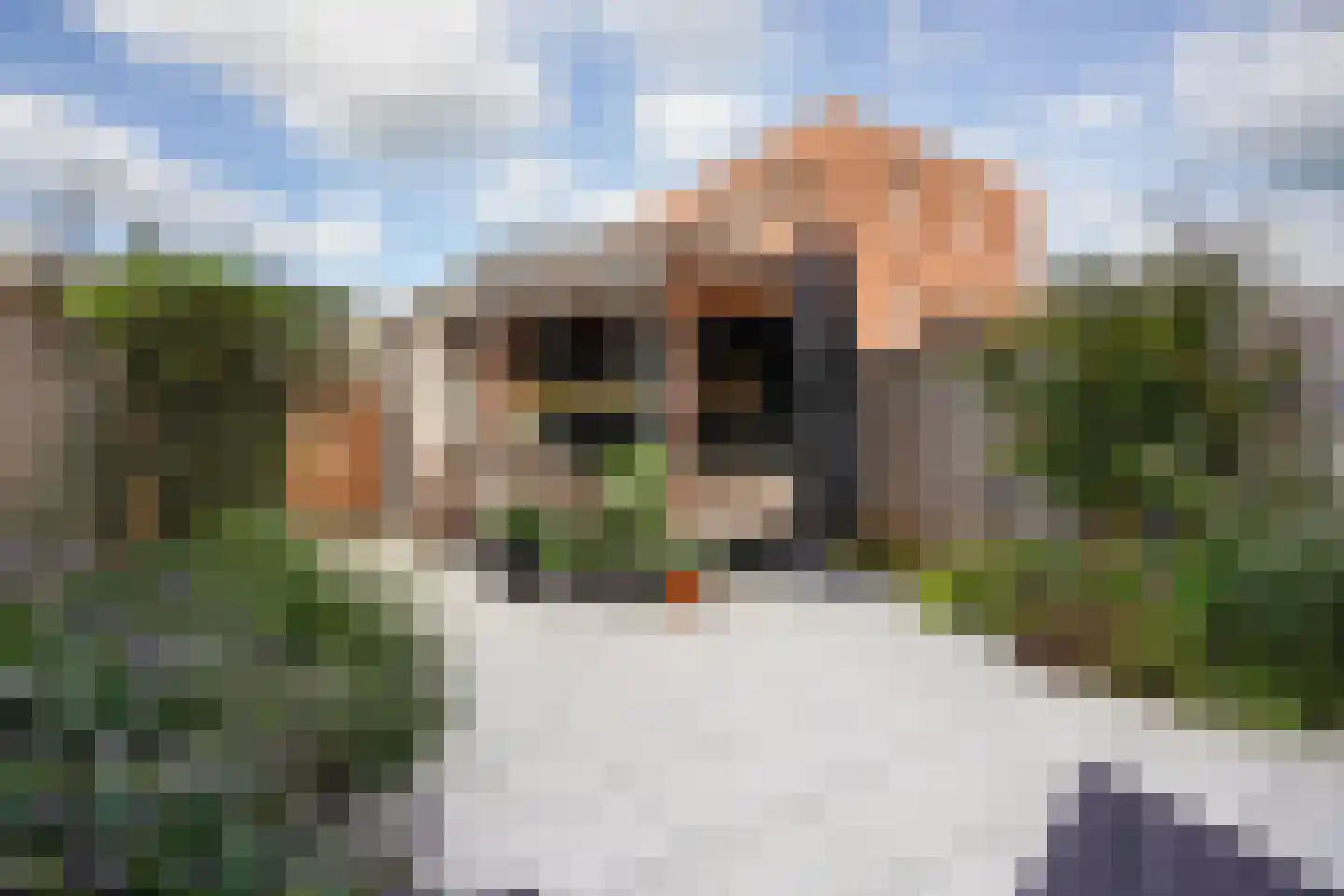 Catharina van Gentpad 29 Zoetermeer thumbnail 28