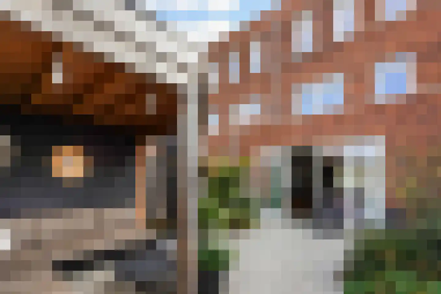Catharina van Gentpad 29 Zoetermeer thumbnail 32