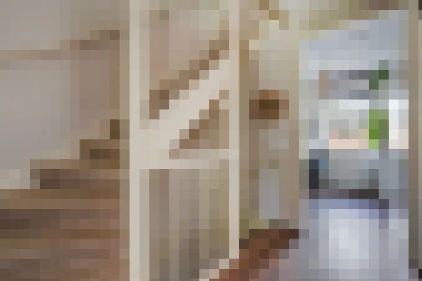 Catharina van Gentpad 29 Zoetermeer thumbnail 34
