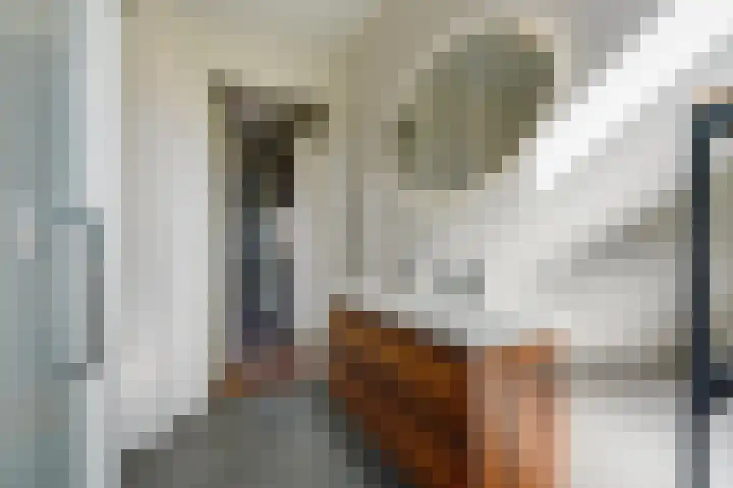 Catharina van Gentpad 29 Zoetermeer thumbnail 39