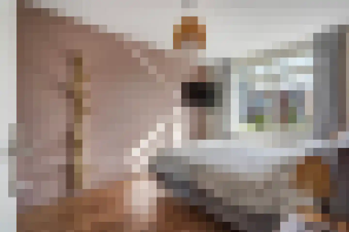 Catharina van Gentpad 29 Zoetermeer thumbnail 40