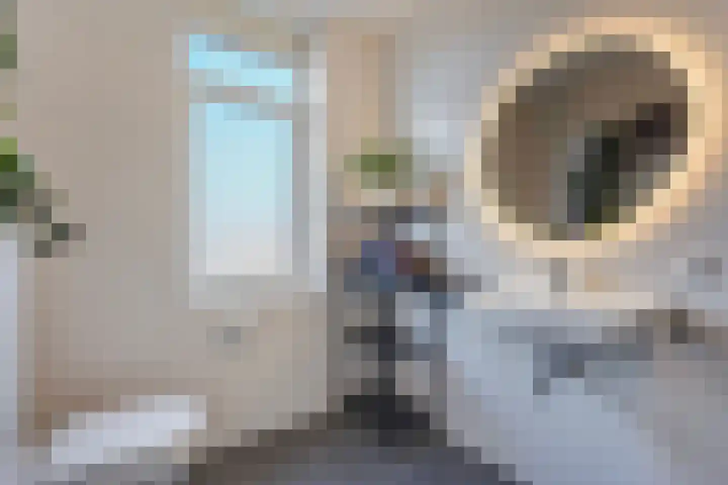 Catharina van Gentpad 29 Zoetermeer thumbnail 49