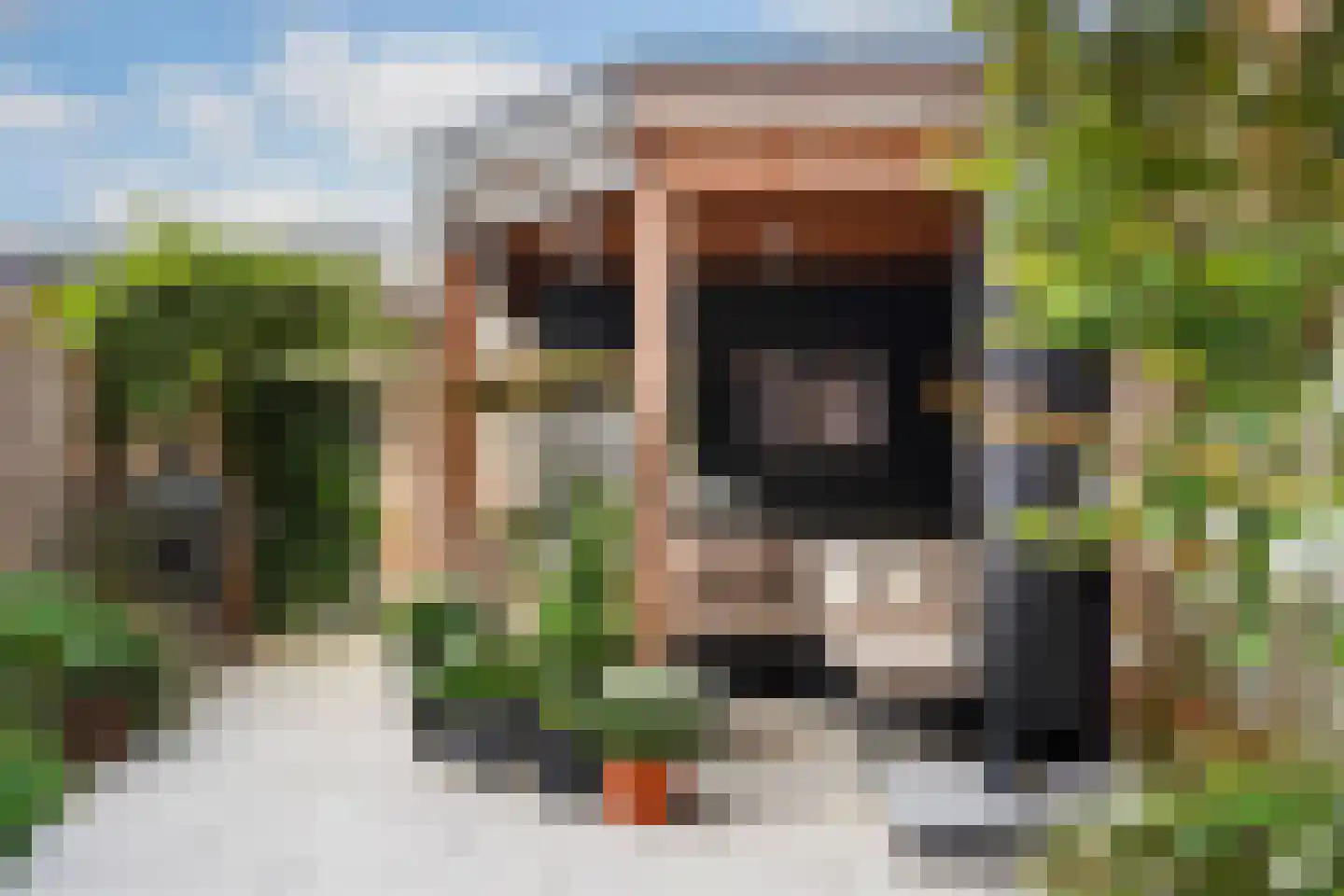 Catharina van Gentpad 29 Zoetermeer thumbnail 5