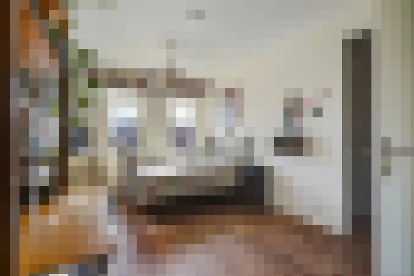 Catharina van Gentpad 29 Zoetermeer thumbnail 57