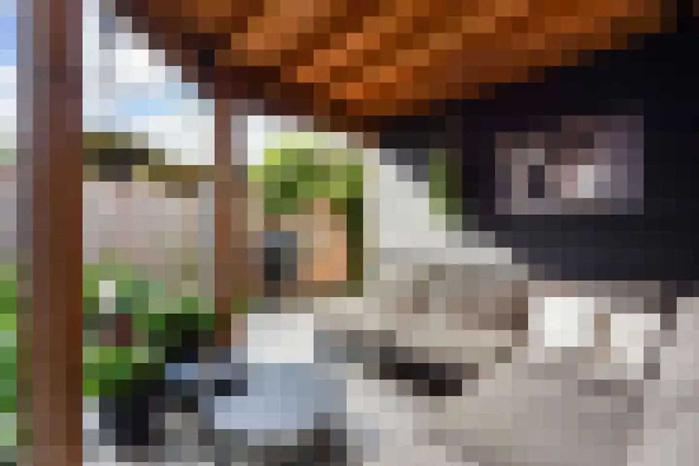 Catharina van Gentpad 29 Zoetermeer thumbnail 6