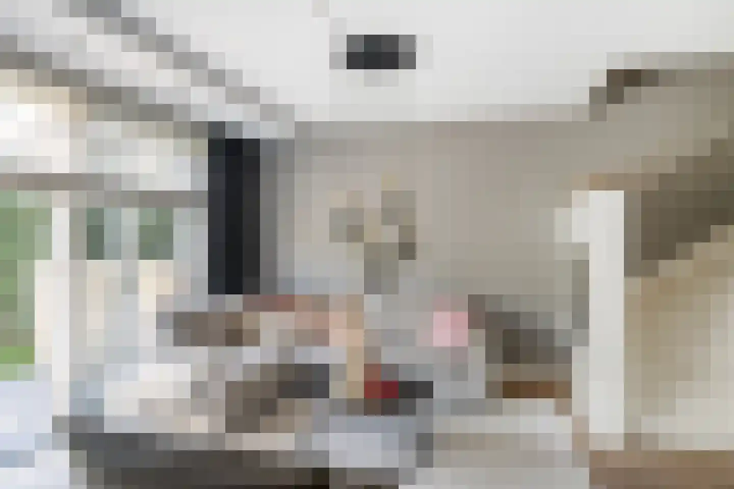 Catharina van Heenvlietstraat 4 Naaldwijk thumbnail 10