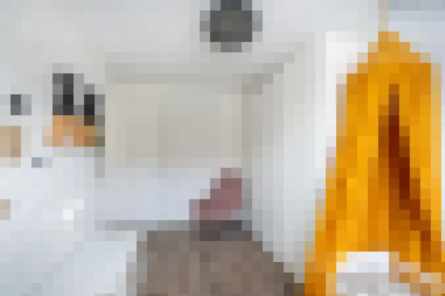 Catharina van Heenvlietstraat 4 Naaldwijk thumbnail 27