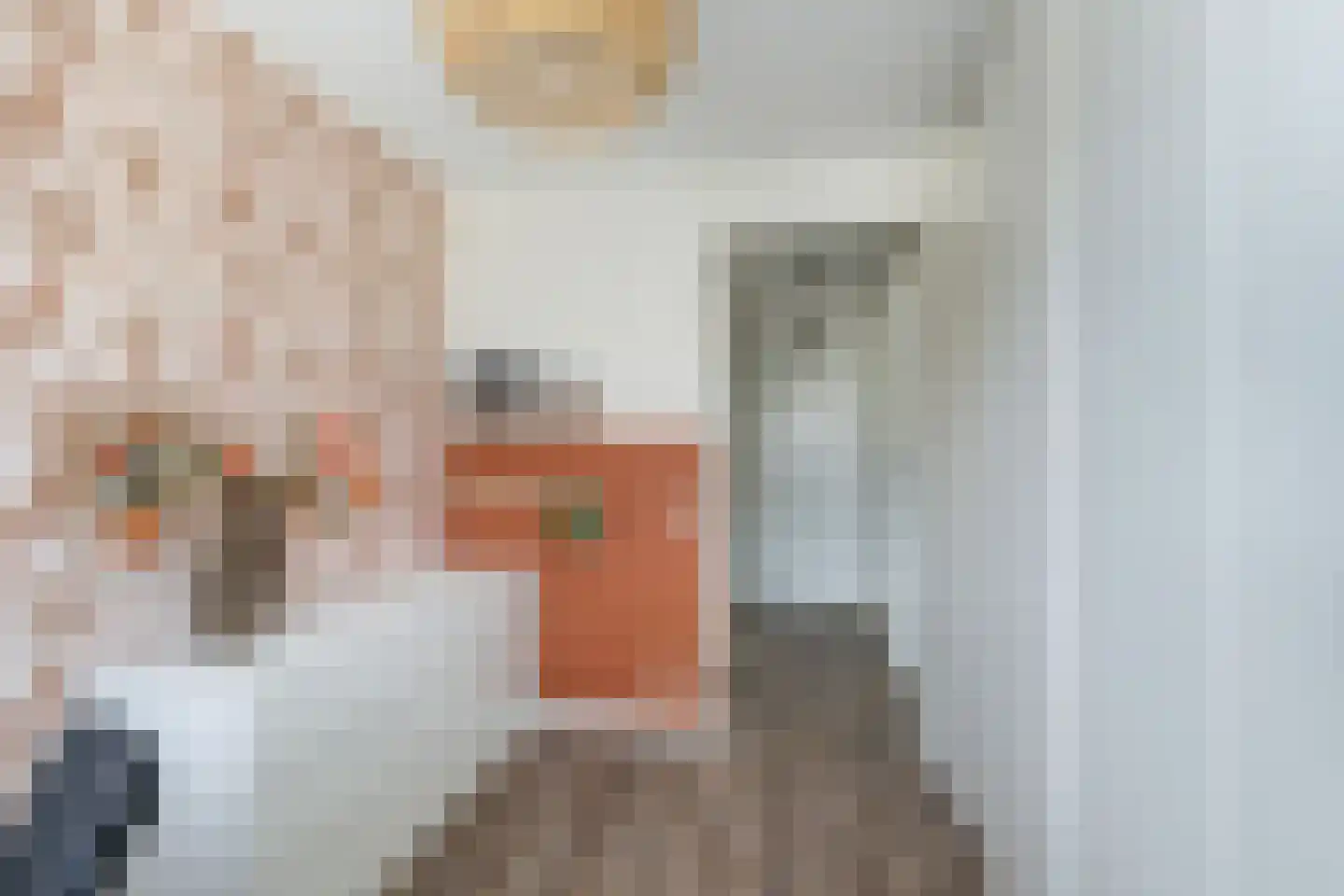 Catharina van Heenvlietstraat 4 Naaldwijk thumbnail 29