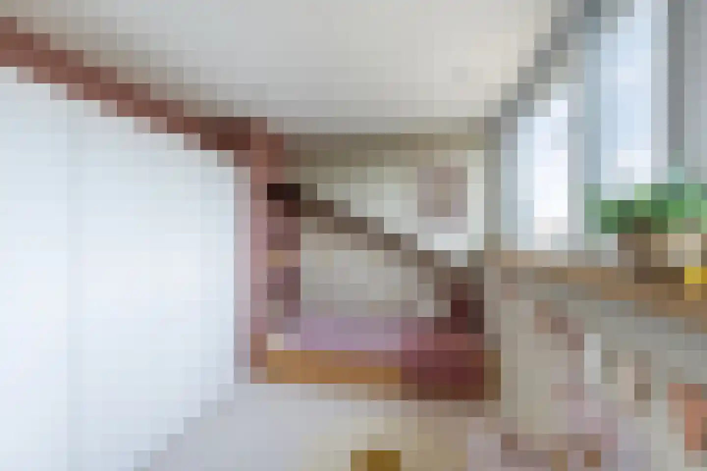 Catharina van Heenvlietstraat 4 Naaldwijk thumbnail 34