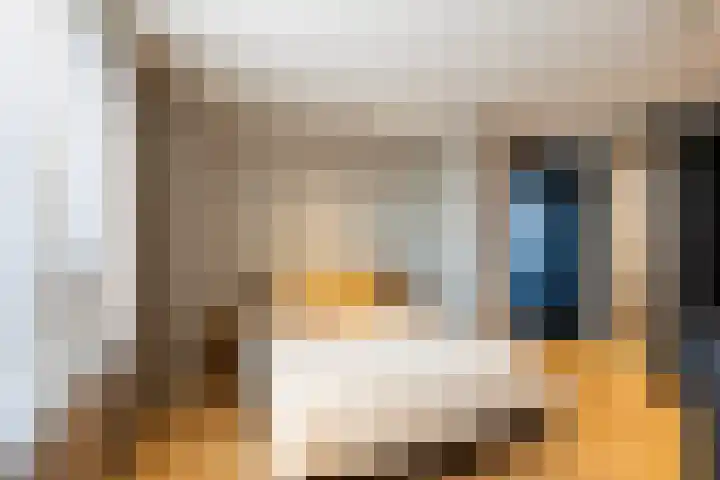 Catharina van Heenvlietstraat 69 Naaldwijk thumbnail 18